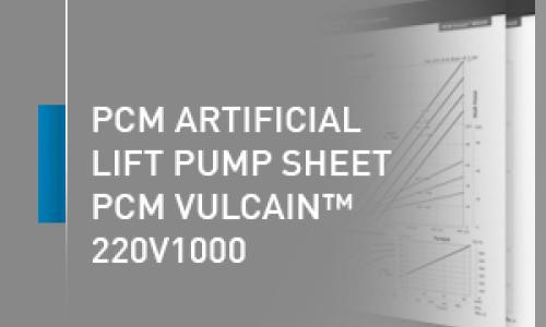 Bomba de levantamiento artificial PCM - 220V1000