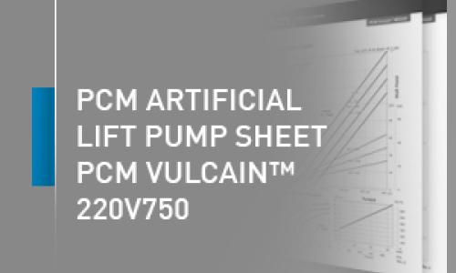 PCM artificial lift pump sheet - 220V750