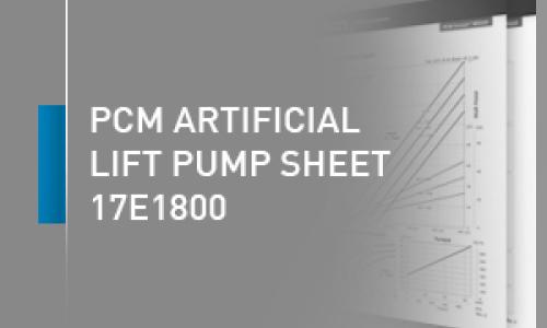 PCM artificial lift pump sheet - 17E1800