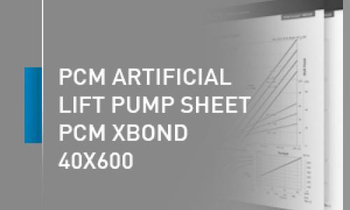 PCM artificial lift pump sheet - 40X600