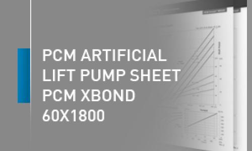 PCM artificial lift pump sheet - 60X1800