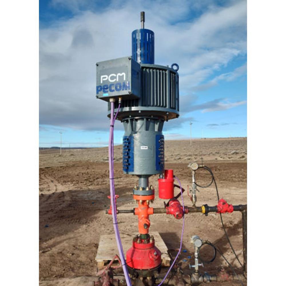 PCM permanent magnet motor drivehead in Argentina